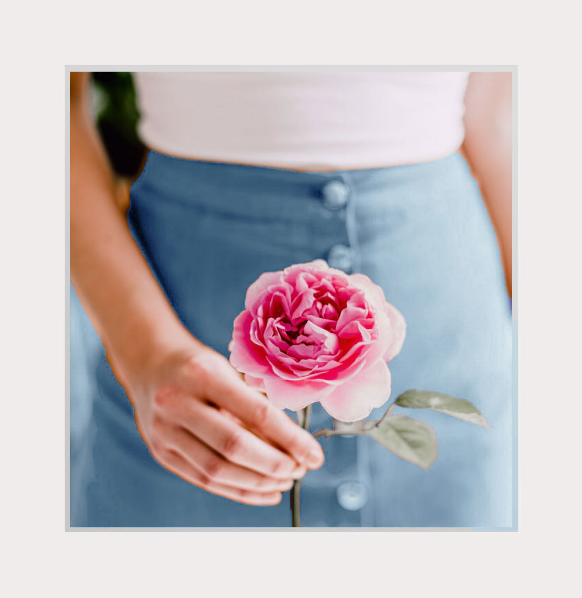 Staff holding a rose that will make a cute hand tied bouquet