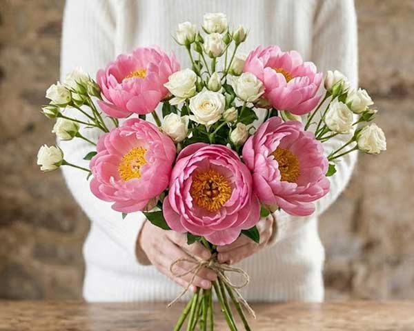 Bloom Poise